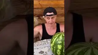 Эксперимент с арбузом  | Приколы от SIDELNIKOVVV | ТикТок #Shorts