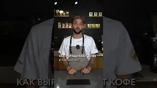 Как выращивают кофе в Танзании? 🇹🇿☕️ 