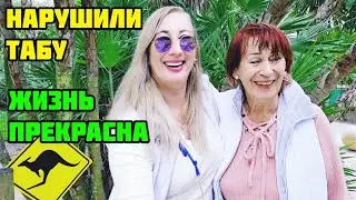 ЗЛЫЕ АЛЛИГАТОРЫ❤️КАК ЖИВУТ РУЧНЫЕ КЕНГУРУ❤️ДИКАЯ ФЛОРИДА