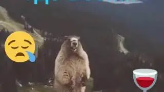 1 января