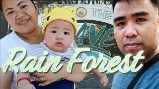 Rain Forest
