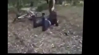 нелепые приколы с девчонками