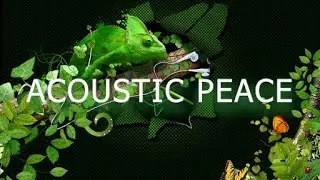 AUDIO JUNGLE NO COPYRIGHT acoustic peace