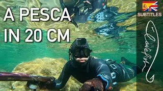Fishing in 20 centimeters of water.