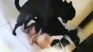 каждый нашёл свое дно в этой жизни