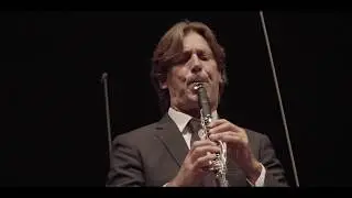 Paul Meyer, Dmitry Yablonsky, JSO - Alexey Shor: Verdiana