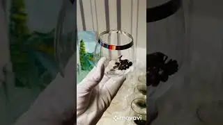 Фужеры Бокалы СССР