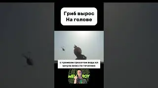 Заразилась грибами, и они начали рости  