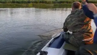 Ловля сазана с лодки. Классная рыбалка с лодки