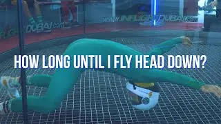 Look Back at your flying || VOLO VOLARE