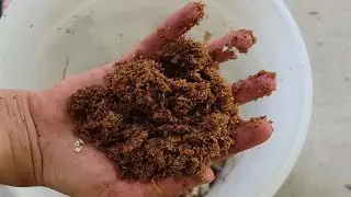 DIY Bokashi Bran Flake