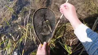 Fishing a Meandering Idaho Creek with the Kokoro 360 Tenkara Rod