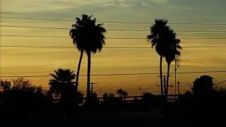 Pedro Duarte - If You