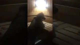 7 февраля 2023 г.