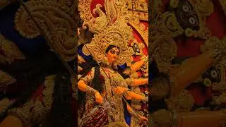 Jay mata di