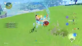Genshin Impact