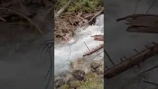 речка в горах Донбая