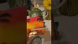 Где бродили? Что купили?