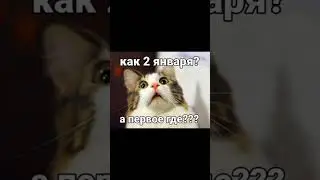 всех с новым годом друзья у кого такое было кто день потерял 🤣