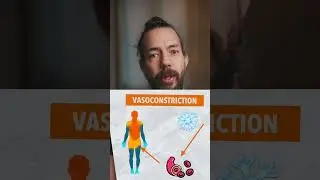 How Does Our Body Protect Us From The Cold 