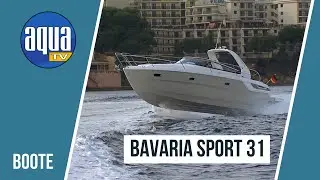 Bavaria Sport 31