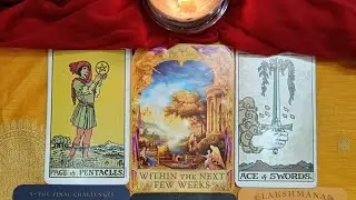 Next 10 to 15 days Tarot Oracle Cards Prediction ☮️🕊️🕉️🙏