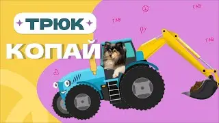 САМЫЙ ПРОСТОЙ ТРЮК  ДЛЯ СОБАК 
