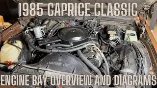 Engine Bay Overview and Diagrams - 1985 Chevrolet Caprice Classic