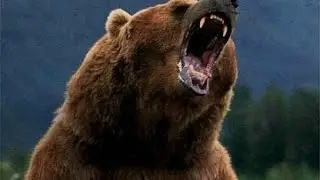 Такую страну победить невозможно!