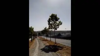 Incendio/ 2 helicópteros San Sebastián de los reyes 7/9/2016
