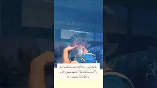 طبيب كويتي نزل غزة  يضمد جراح أهلها، فلما اقتحم الاحتلال رفح خرج منها في اللحظات الأخيرة باكيا