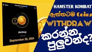 Sep. 26 න් පස්සේ Hamster Kombat එකට මොකද වුණේ? | MS ACADEMY LK