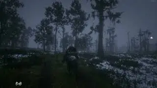 Red Dead Redemption 2 Online Winter