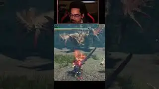Palico With the Amazing Teamwork #monsterhunterrise #monsterhuntersunbreak #shorts