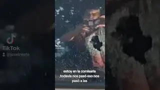 Intentaron asaltar a una pareja haciéndoles disparos a su vehículo por Camino de Diría en Tucumán