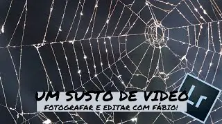 HALLOWEEN PHOTOSHOOT