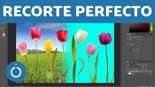 QUITAR UN FONDO en Photoshop 💻🖼️ (3 MANERAS FÁCILES)