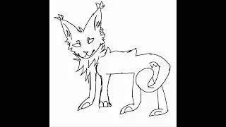 i draw cat