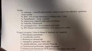 1500 intro to respiratory therapy Pneumonia