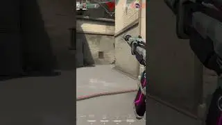 Raze.exe 