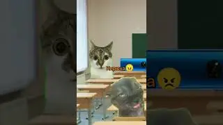 наш класс чек 