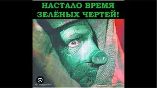 Курск, Одесса. Работа ФСБ. Камала Харис.
