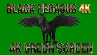 Black Pegasus Horse 4K Green Screen | Flying Winged Horse VFX | Ultra HD CGI | GreenX AI |