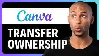 How to Transfer Ownership on Canva Teams (2024)