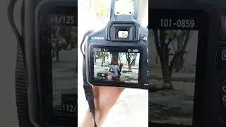 #photo#shooting #shortvideo #camera #ytshorts #shortfeed