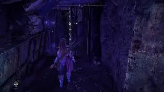 Forbidden west