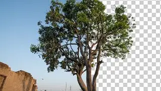 How to do Complex Cutting Photoshop CC 2019