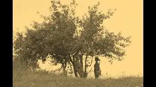 Военная короткометражка 