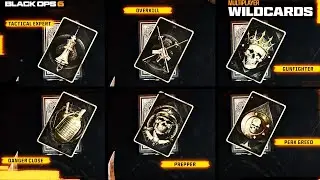 ALL BLACK OPS 6 WILDCARDS  - BO6 Wildcard Picks Loadout Showcase