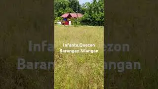 Palayan sa Barangay Silangan Infanta,Quezon #short